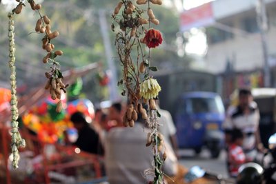 2011 Peanut Festival in Bangalore, India